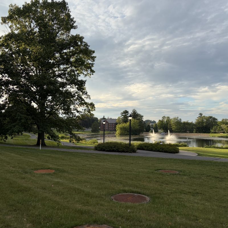 Green campus landscape with trees, lawn, and a pedestrian walkway